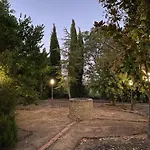 Vinas